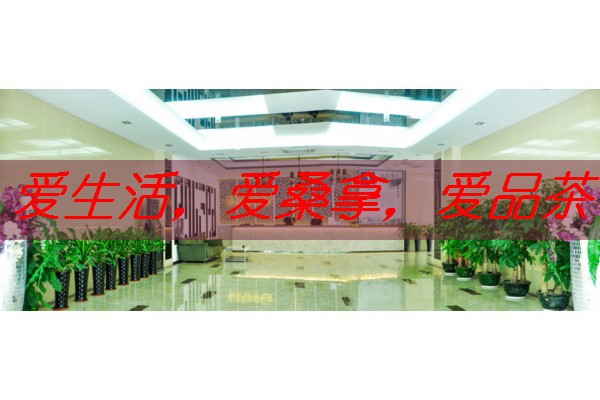 南宁spa按摩论坛飞机：商务旅行新趋势-南宁spa正规吗
